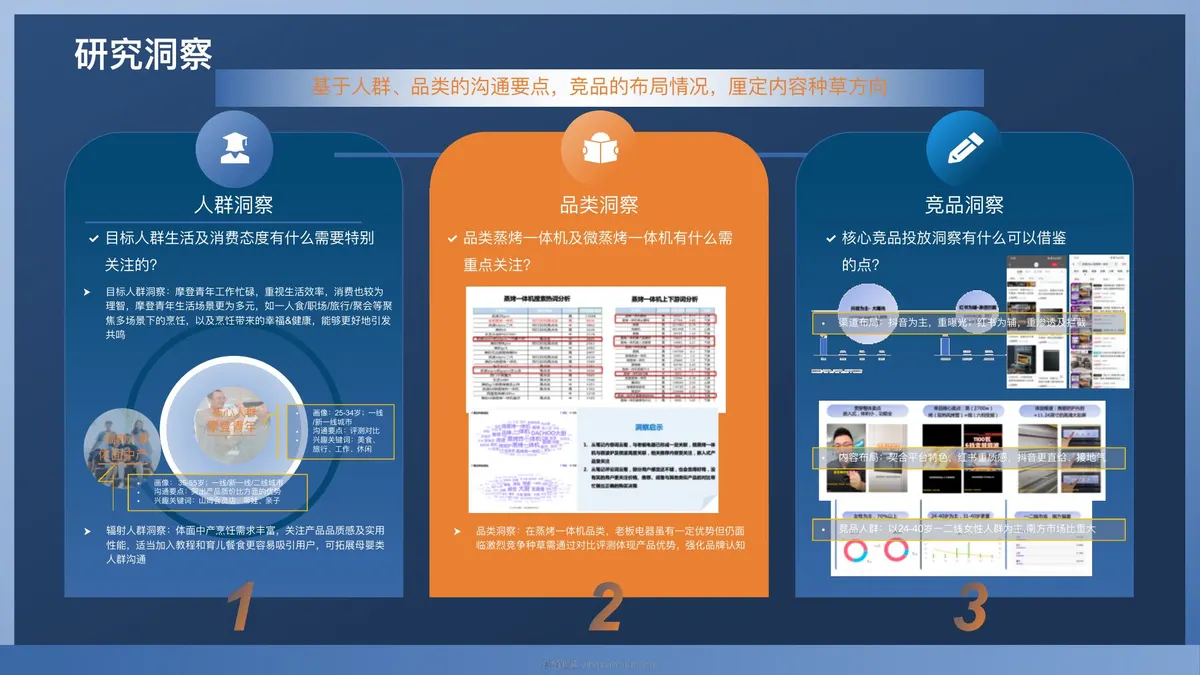 老板电器微蒸烤新品D1上市营销策划方案 第 4 页