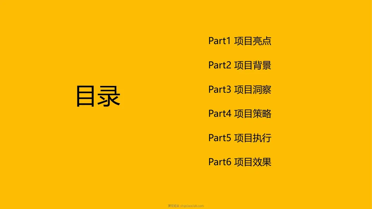神州租车山海此生必驾TVC策划方案 第 2 页