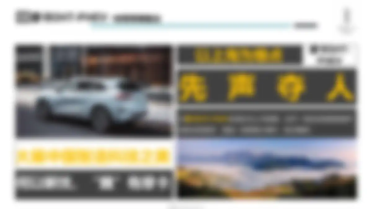 魏牌区域活动代理执行公司招标 第 33 页会员预览