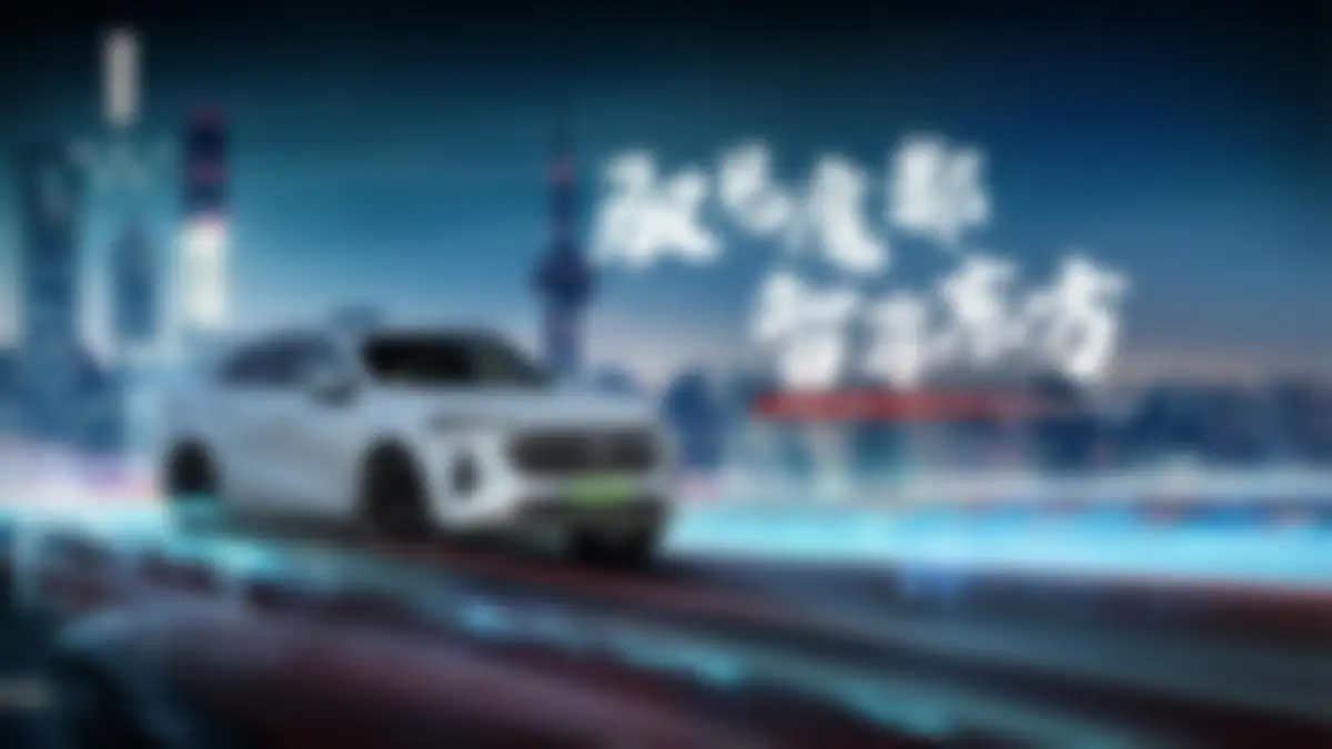 魏牌区域活动代理执行公司招标 第 43 页会员预览