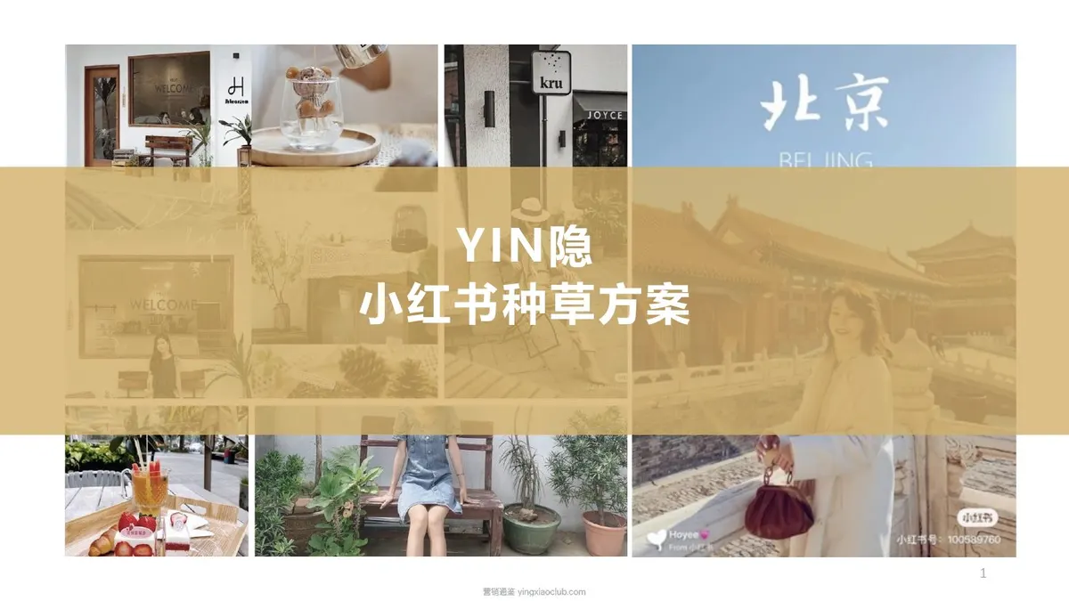 珠宝首饰品牌YIN隐小红书种草方案
