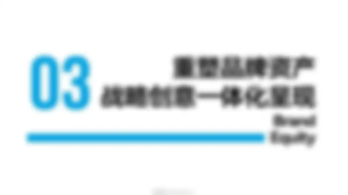 小马宋-绽妍案例复盘 第 17 页会员预览